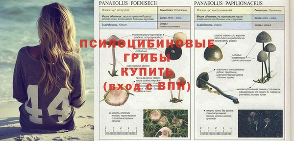 спайс Нефтегорск